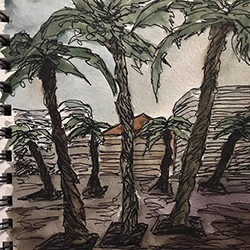 sabbatical drawing