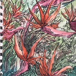 sabbatical drawing