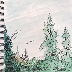 sabbatical drawing