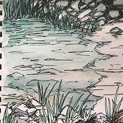 sabbatical drawing